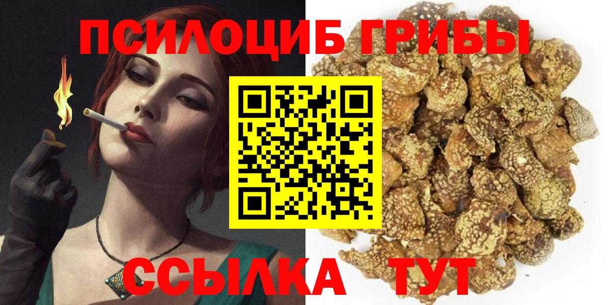 Северодвинск  Галлюциногенные грибы мухоморы  Вход с VPN 